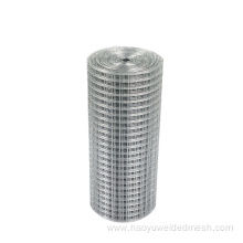 Galvanized Welded Wire Mesh